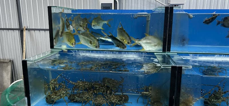 Hải Sản Cô Lệ - Không ngon không tính Tiền