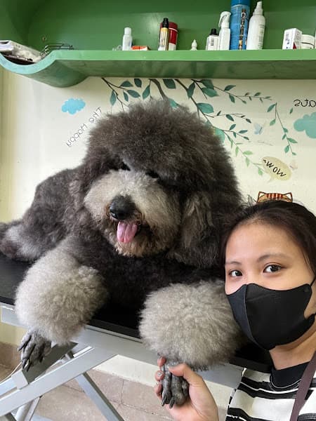 Hình ảnh Phòng khám thú y Ecopet - 3