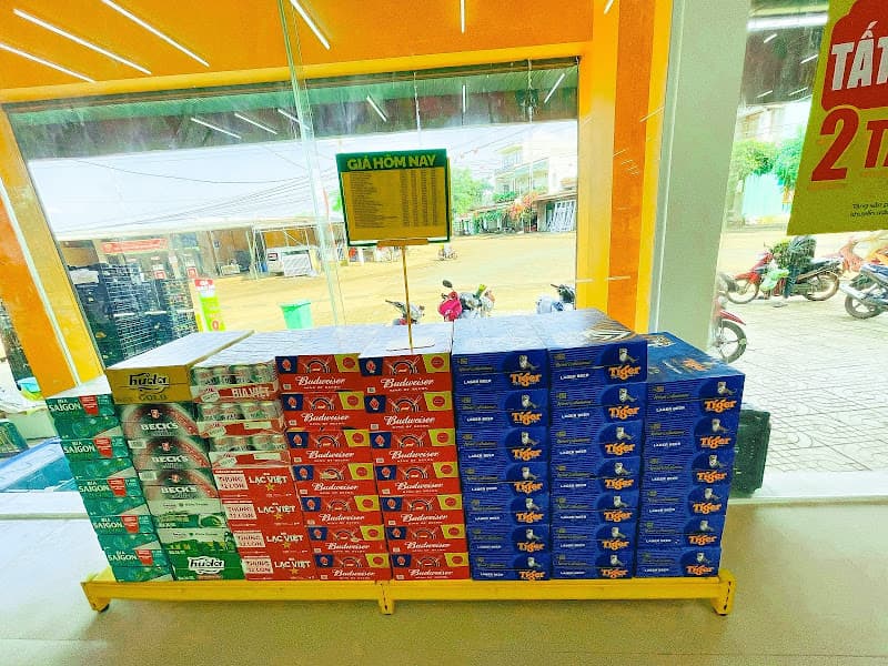 Hình ảnh Siêu thị Bách hoá XANH Thôn 22, Xã Ea Ning - 7