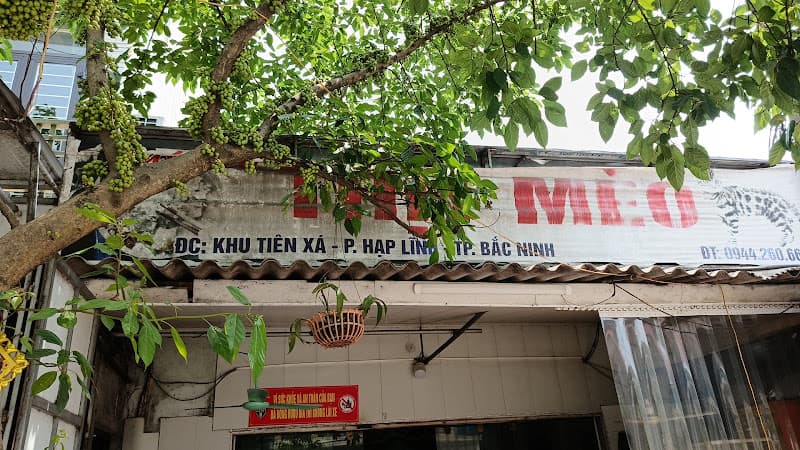 Ảnh bìa QUÝ MÈO