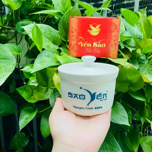 Hình ảnh YẾN SÀO SAO YÊN - 2