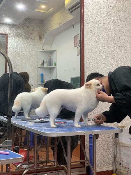 Hình ảnh Phòng khám thú y - 3