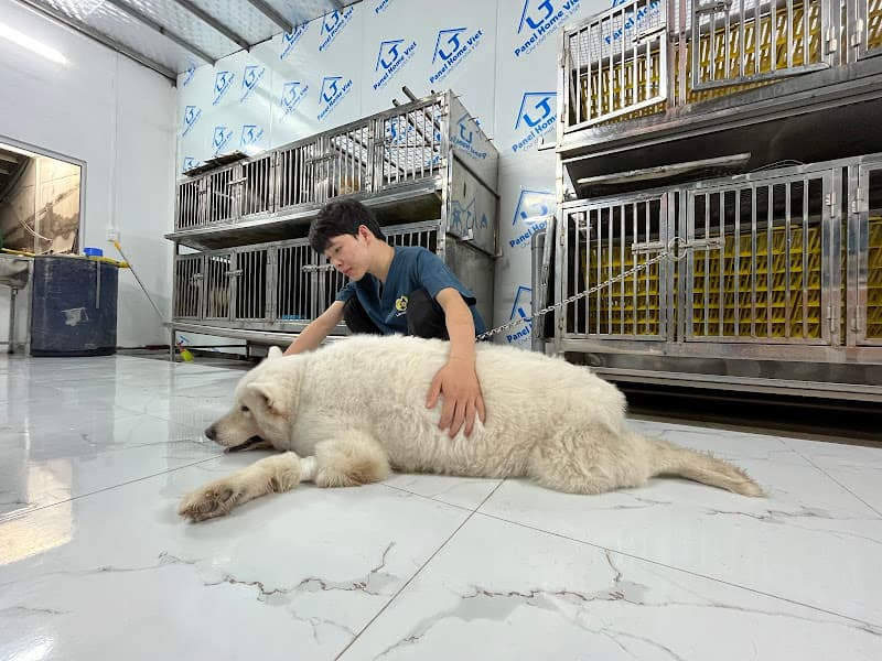 Hình ảnh Bệnh Viện Thú Y Lào Cai - 5