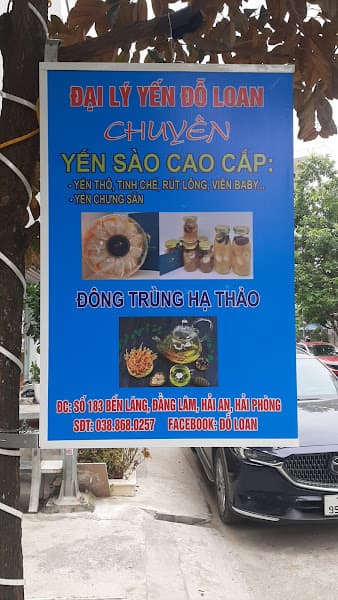 Hình ảnh Đại lý yến sào Đỗ Loan, chuyên yến Mộc Hương và Đông trùng hạ thảo - 4