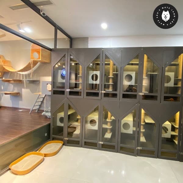 Hình ảnh Sâu's Mate Land Pet Service - 2