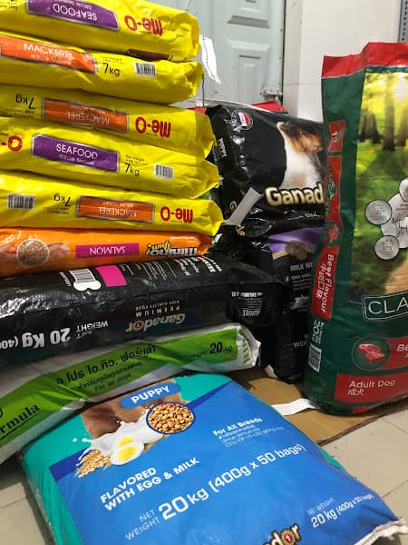 Hình ảnh Bingu petshop ( Cửa hàng thú cưng ) - 4