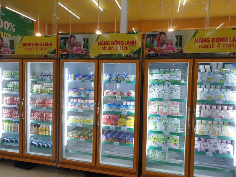 Hình ảnh Siêu thị Bách hóa XANH Mê Linh - 5