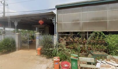 Đại Lý Thanh Thảo