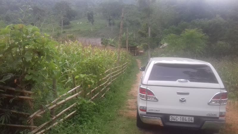 Hình ảnh Nhà Bia Di Tích Cơ Quan Trung ương Đoàn TNCS Hồ Chí Minh - 2