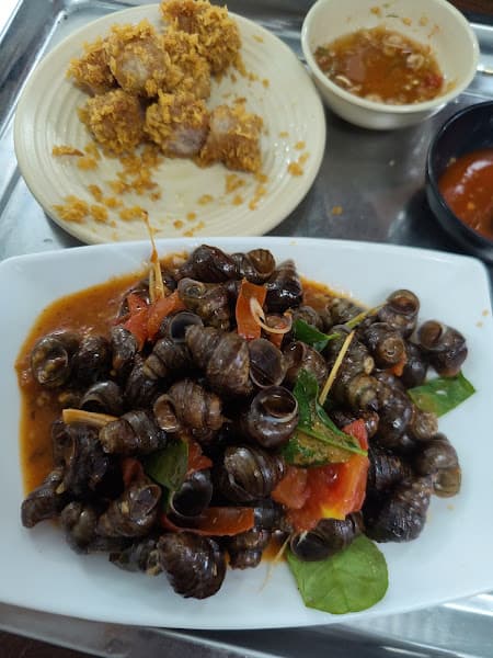 Hình ảnh Ốc 26 - 5