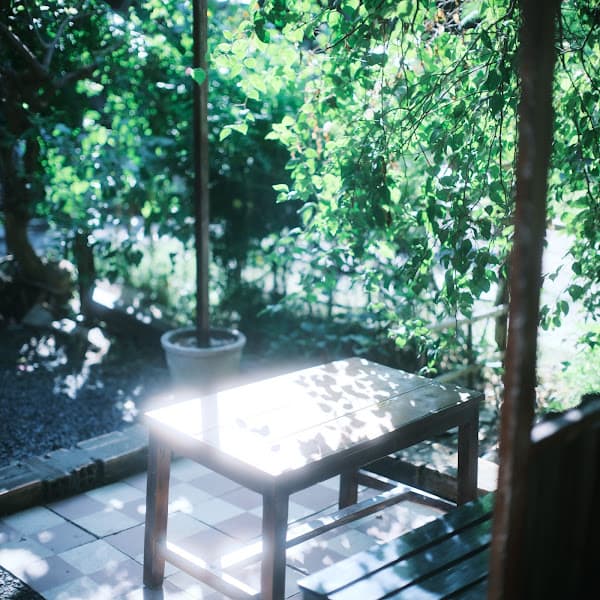 Ảnh bìa Củ đi Lạc