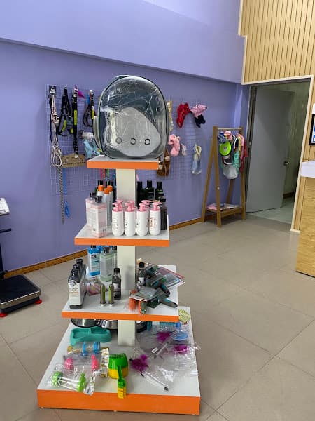 Hình ảnh Bệnh viện Thú y Pet Chop (Phòng khám thú y PetChop Thuận Thành) - 3