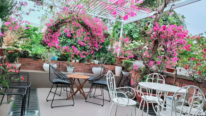 Hình ảnh Lươn xứ nghệ Hương Giang - 3