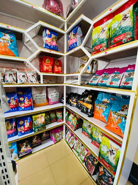 Hình ảnh HanaBoi Pet House BMT - 2