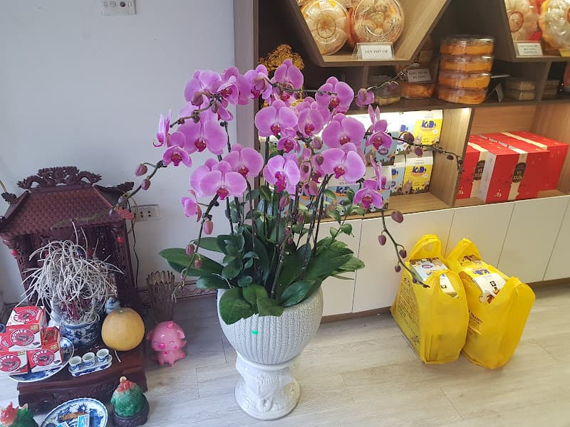 Hình ảnh Cửa hàng Yến sào Bắc Ninh - Việt Trang - 2