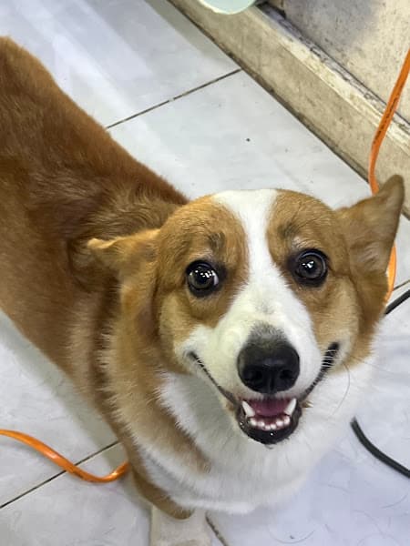 Hình ảnh Hoàng Khôi Hair Salon ( Uốn Tóc Tây Ninh ) - 4