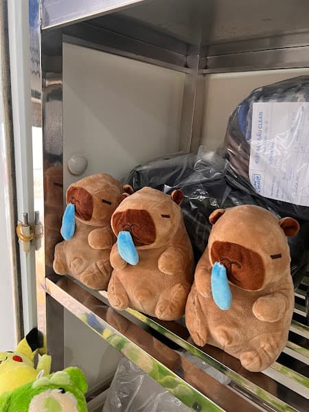 Hình ảnh Giặt Sấy Gấu Clean - 10