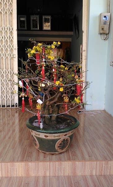 Hình ảnh Nhà Hàng Thiên Thanh 2 - 2