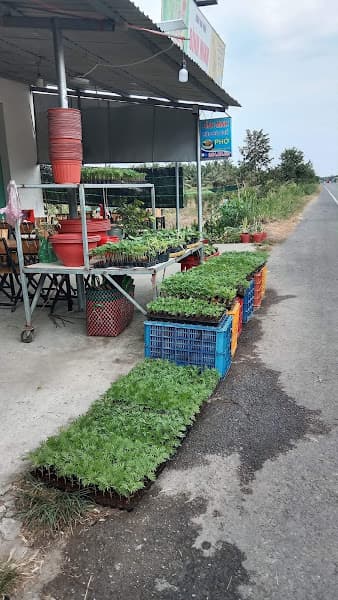 Hình ảnh Phở Bò - Bún Bò Huế BÌNH MINH - 2