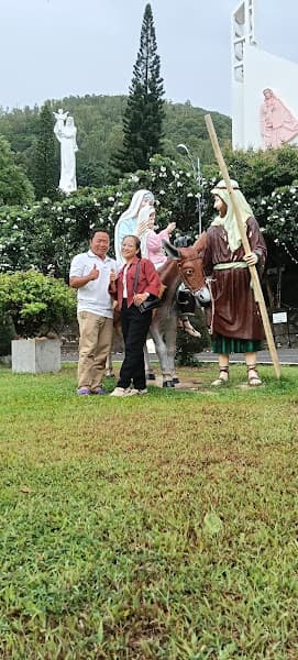 Hình ảnh Yến Sào My Meo - 3