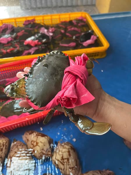 Hình ảnh Hải Sản Đức Trọng - 4