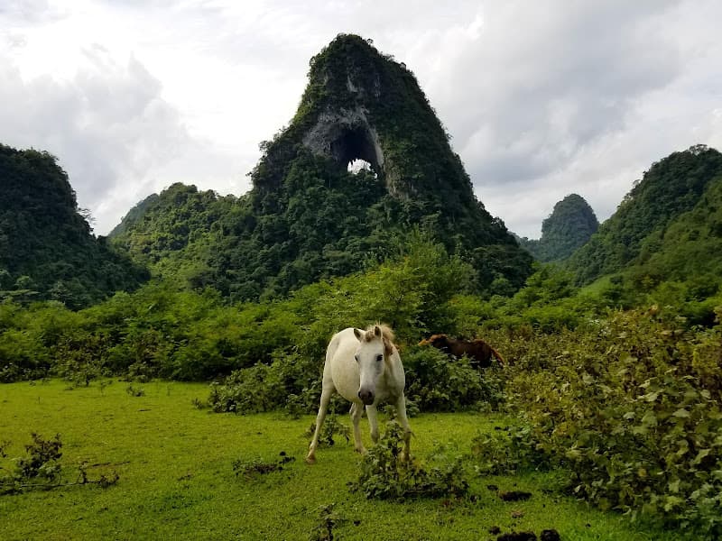 Hình ảnh Thác Nặm Trá - 4