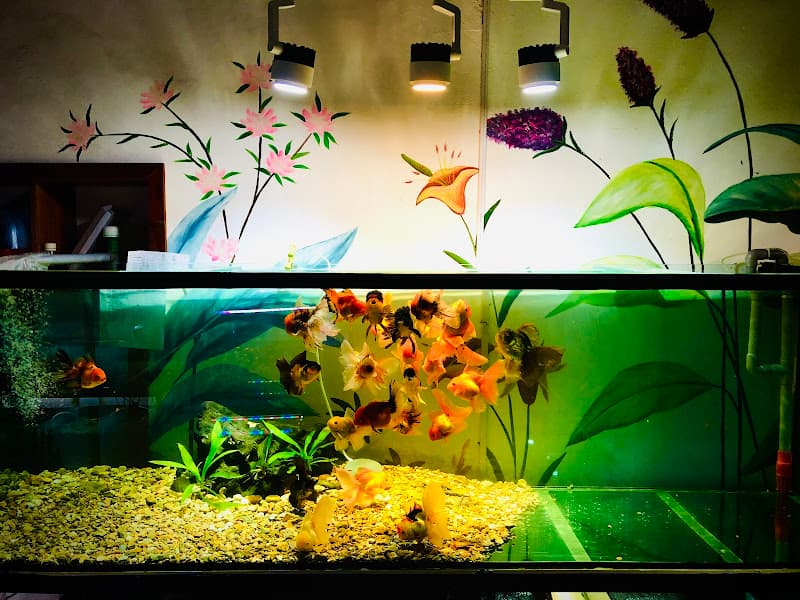 Hình ảnh Quán nướng Trung Quốc - 3