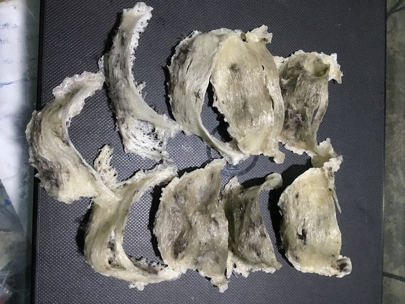 Hình ảnh Nhà Yến Lâm Đồng - 6