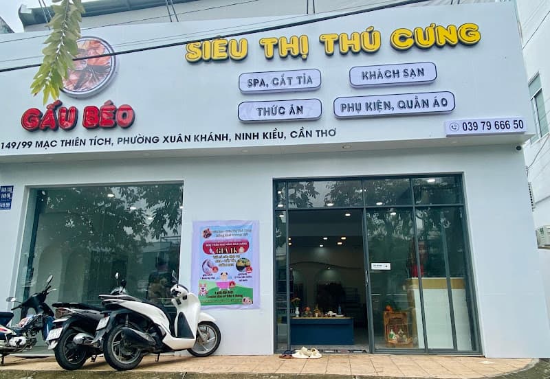 Hình ảnh Gấu Béo - Siêu Thị Thú Cưng - 5