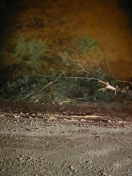 Hình ảnh Đèo Tài Hồ Sìn - 4