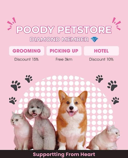 Hình ảnh Poody Pet Store : Spa dành cho chó mèo Phú Nhuận - 5