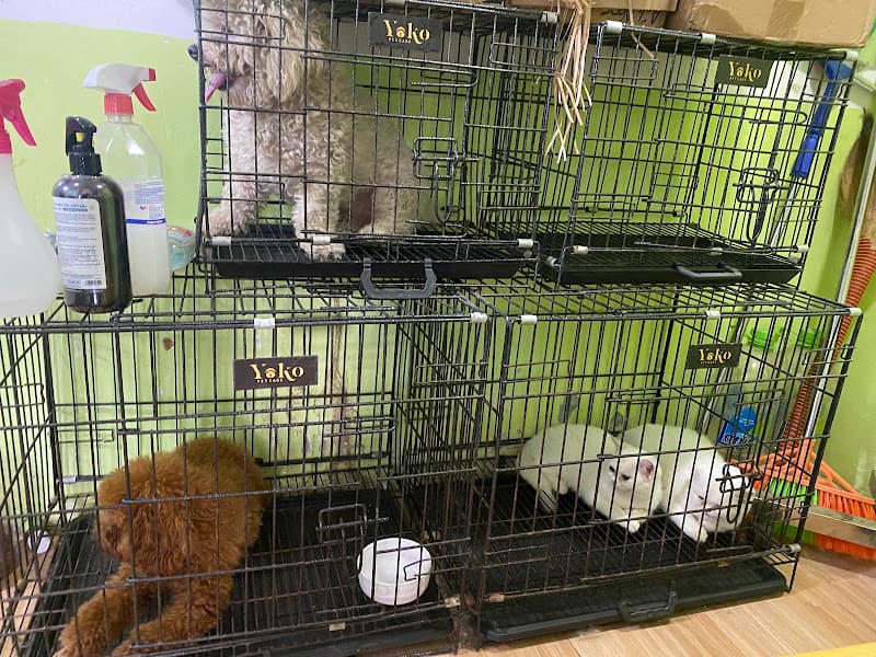 Hình ảnh Phòng khám thú cưng Mini Vet - 5