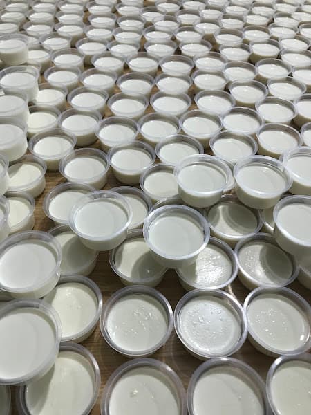 Hình ảnh TÀU HŨ SINGAPORE (PIPO) - 2