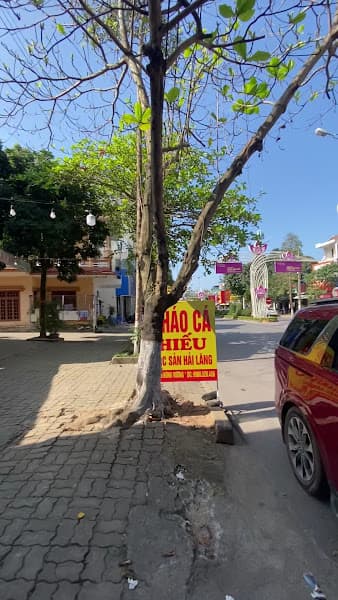 Hình ảnh Cơm gà Hải Nam - 2