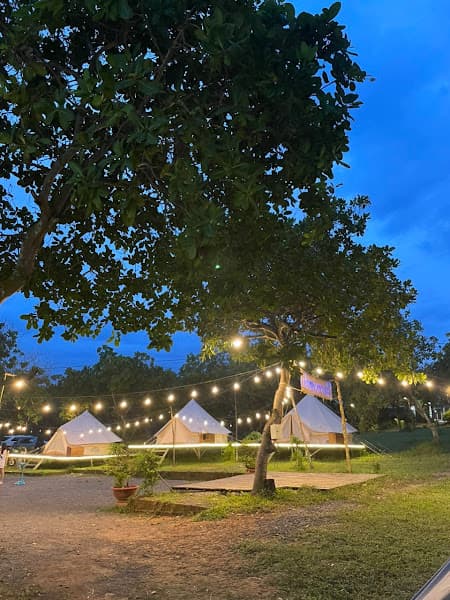 Hình ảnh Sunny Garden Camping - 4