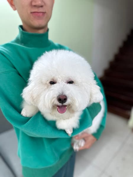 Hình ảnh Phòng Khám Thú Y Ecovet - 5