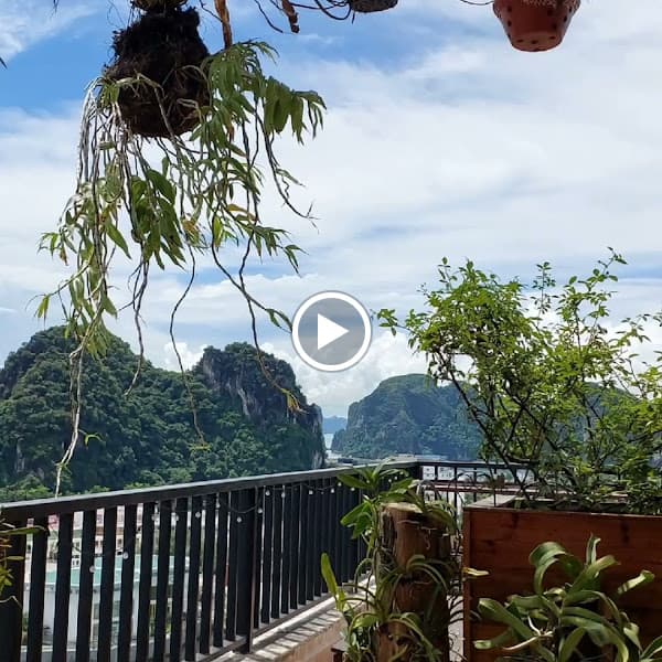 Hình ảnh Ô Pal Coffee - 4