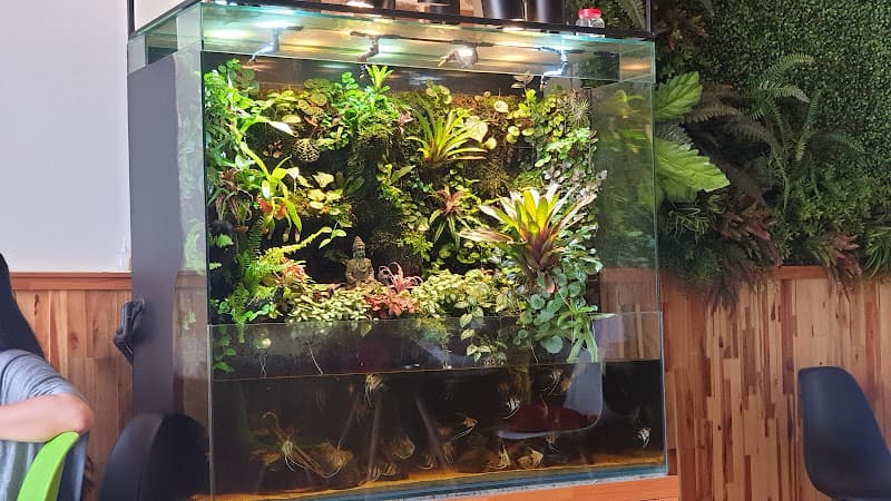 Hình ảnh Green Milk Tea and Coffee - 2