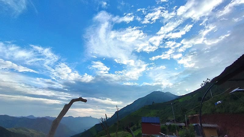 Hình ảnh Tao coffee homestay & camping - 4