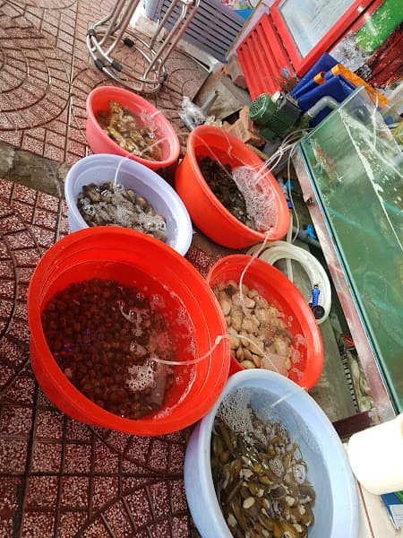 Hình ảnh Quân Cát Bà - 5