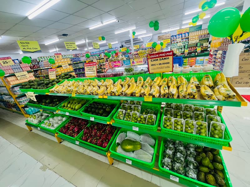 Bách Hoá Xanh Phò Trạch