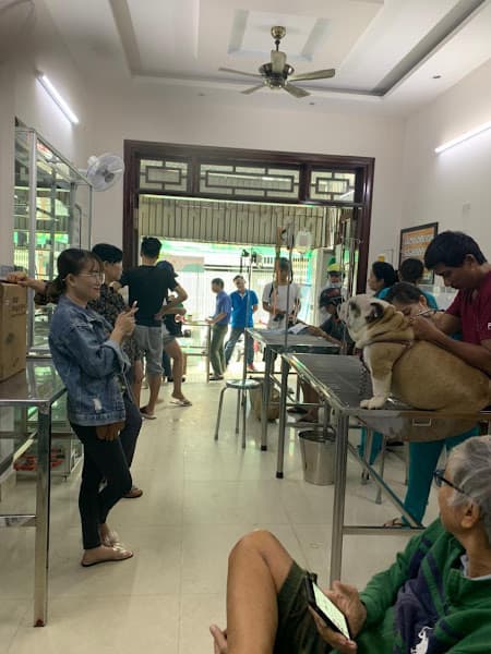 Hình ảnh Bệnh Viện Thú Y PET FRIENDS - NHA TRANG - KHÁNH HOÀ - 3