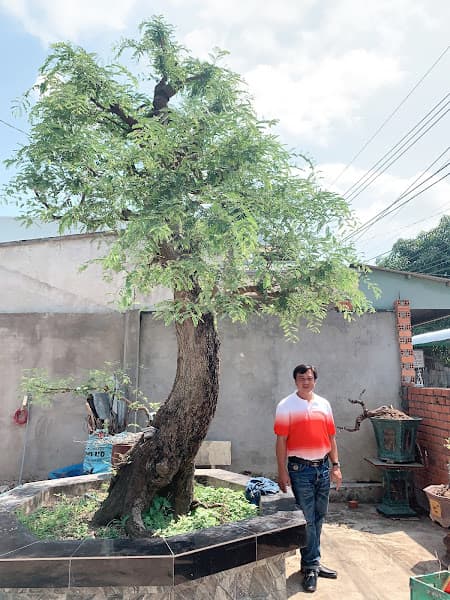 Hình ảnh Karaoke - 3