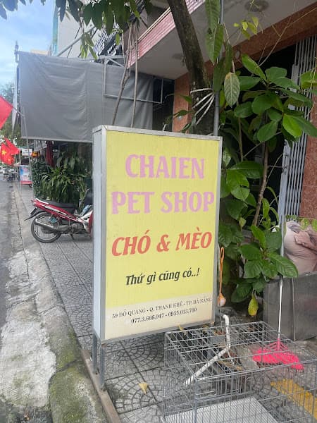 Hình ảnh Cắt Tỉa Chó Mèo - Chaien Pet Shop - 3