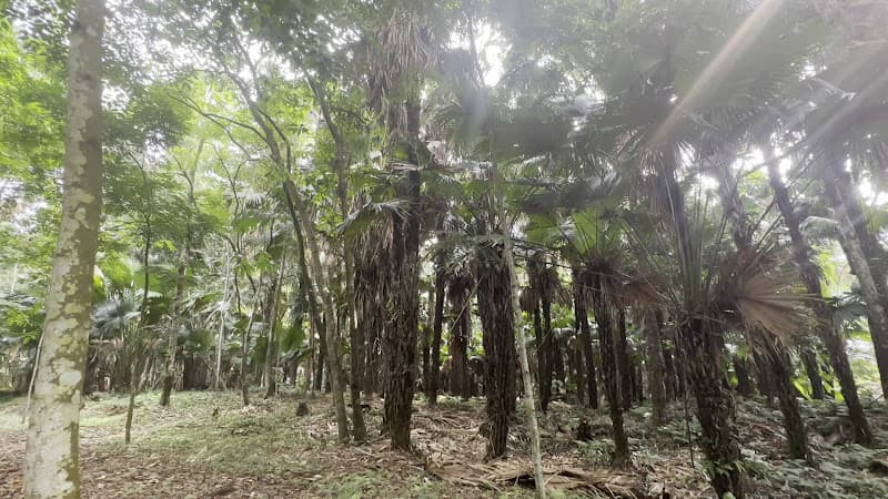 Hình ảnh Khu Di tích Lịch sử xã Kim Bình - 4