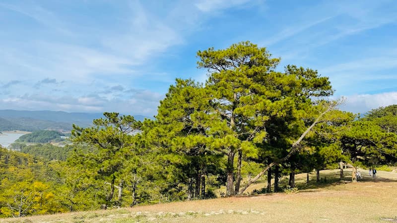 Hình ảnh Đồi Cỏ Hồng Đà Lạt - 4