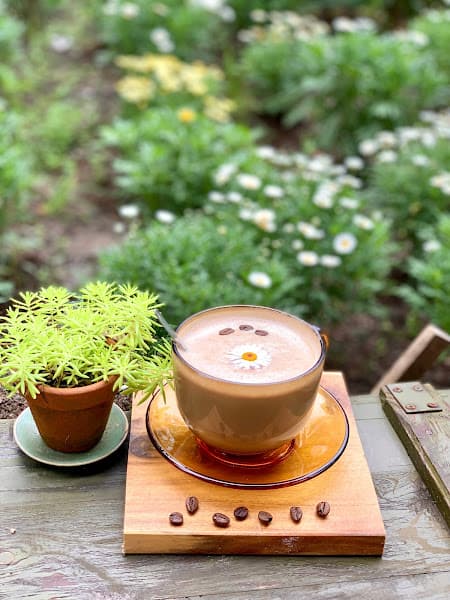 Hình ảnh Tiệm cafe Túi Thương Nhớ - 3