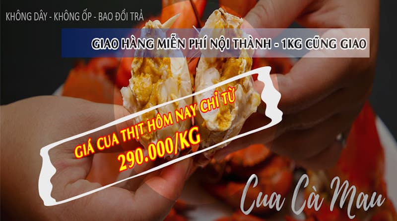 Hình ảnh Vựa Cua Cà Mau - 5