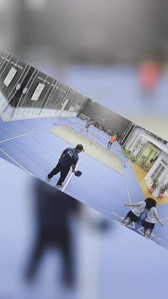 Hình ảnh DiLa pickleball and badminton - 3