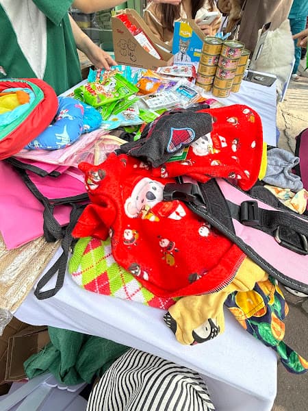 Hình ảnh Thú Cưng Kokopet - 2